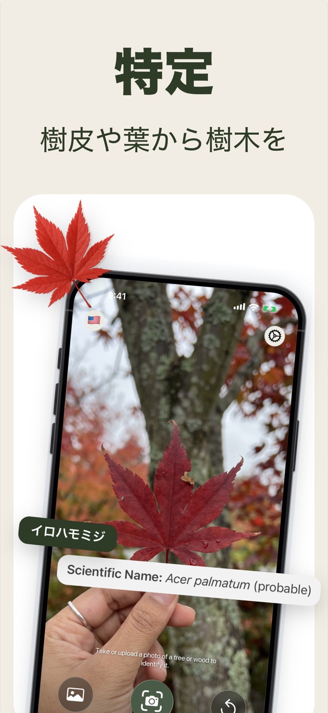 樹皮や葉から樹木を識別：LasWoodでイロハモミジ（Acer palmatum）を識別